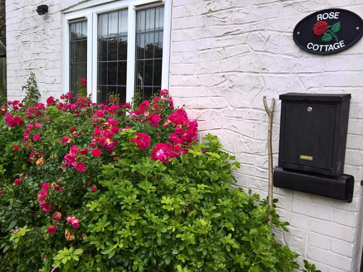 Rose Cottage Chard Zewnętrze zdjęcie